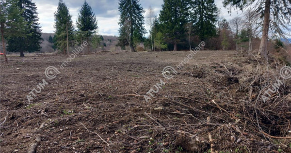 Teren intravilan 1000 mp in Avrig zona Valea Avrigului