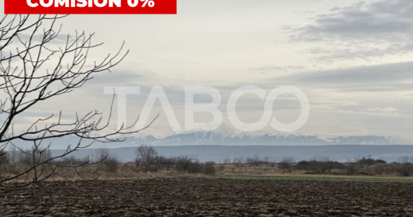 Teren 3750 mp deschidere 54 m de vanzare in Paltinis Sibiu