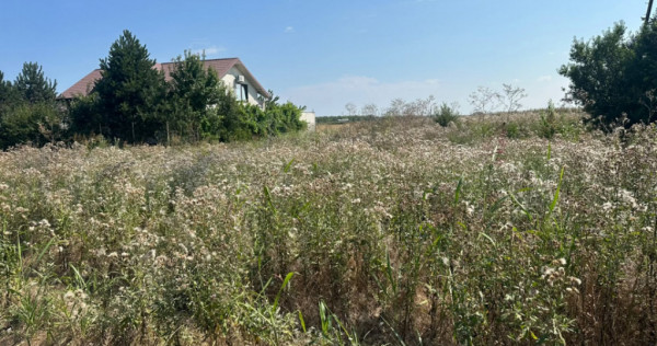 Teren de v&acirc;nzare Costinești | Intravilan | L&acirc;ngă DC6