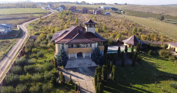 Proprietate Unică de V&acirc;nzare &icirc;n Vișani, Iași &ndash; Reșed