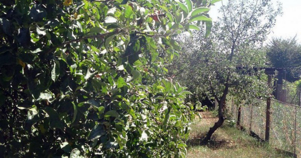 De vanzare - casa cu 4 camere, 900 mp teren - str. Razboi...