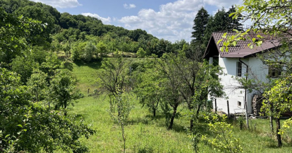 Teren constructie casa Stefanesti | 1652 mp | Langa Padure