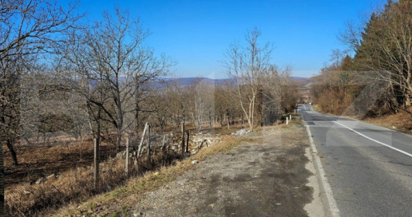 Teren de 30 de ari, Dumitra, 5km de Bistrita