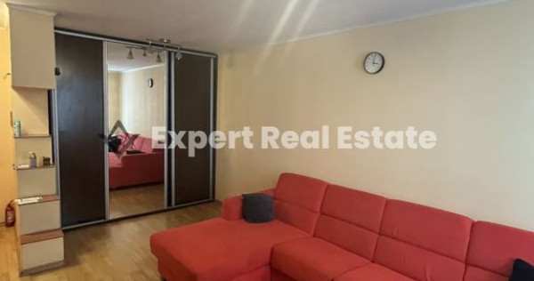 APARTAMENT SPATIOS 2 CAMERE-SALA PALATULUI-PET FRIENDLY