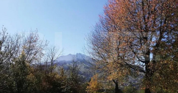 Teren 2500 mp, la strada, Ceahlau,, locatie perfecta