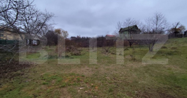 Teren intravilan 2618 mp IASI- Strugurilor