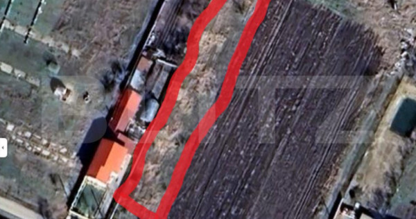 Teren Pielesti, 1364 mp, front stradal 13 mp