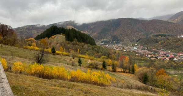 Cabanute în zona de munte Dragoslavele, Arges