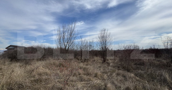 Teren extravilan de vanzare, 15.000 mp, zona Narcise II