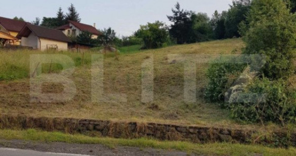 Teren intravilan de vanzare, 65 mp, Bistrita