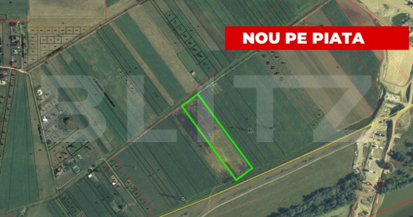 Teren extravilan de vanzare, 13900 mp, zona Partos, Alba Iul