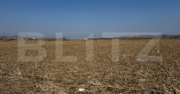 Teren intravilan, 2900 mp, zona Soseaua de centura