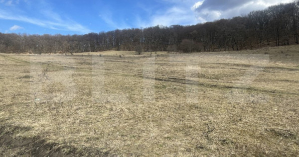 Teren extravilan de vanzare, 2,4 hectare, zona drumul Tarpiu