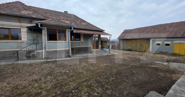 Două case de vânzare, curte comună, 4 camer 110mp, 50 ari