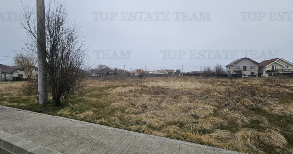 TEREN INTRAVILAN 1000 MP COSTINESTI
