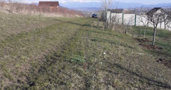 Teren intravila Sura Mare 550mp