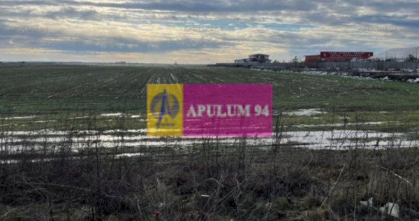 Teren Mihailesti- langa Dovinot.