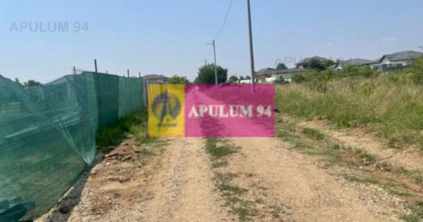 Teren Domnesti- Ciutaci.