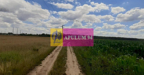 Teren 715mp în Snagov lângă Equestria