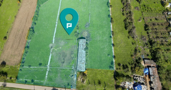 Hală de 430 mp și teren intravilan 2.5 ha Macea