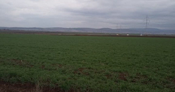 De vânzare terenuri intravilane între Chilieni si Ozun