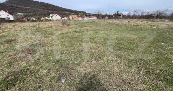 Teren Intravilan de vanzare, 4400 mp, zona Viisoara