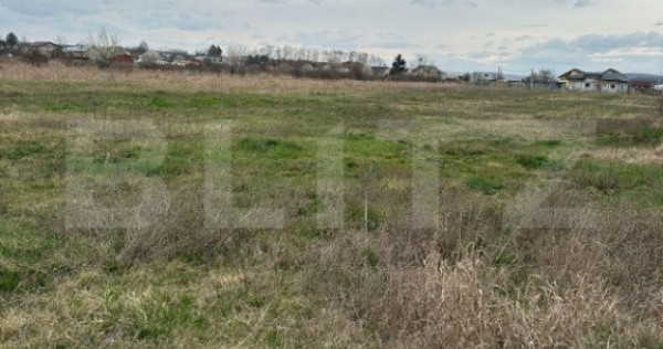 Teren intravilan cu toate utilitatile disponibile Dragomires