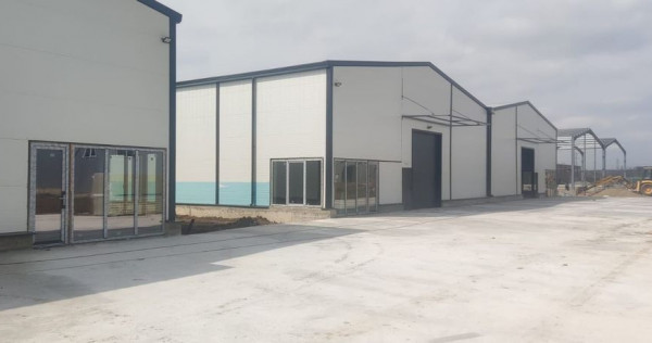 2 hale noi 2025 Afumati- Moara Domneasca