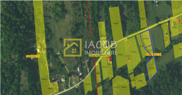 Teren Intravilan-Ideal Investitie-Podis,Margineni,Bacau