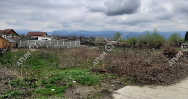 Teren intravilan 1300 mp de pe Valea Avrigului, drum asfalt