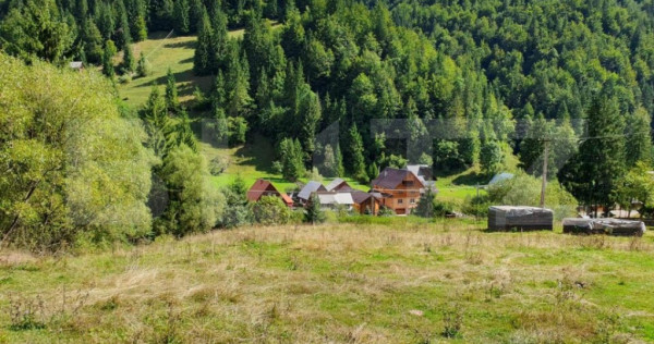 Teren intravilan 3015 mp, Garda de Sus, Ghetarul Scarisoara