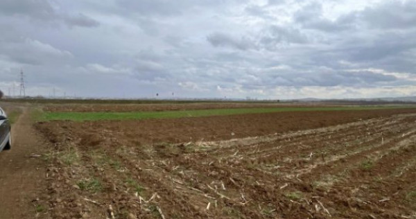 Teren extravilan 2500 mp,cu acces la Centura ,Radauti