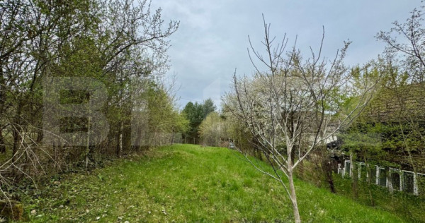 Teren intravilan de vanzare, 960 mp, zona Geoagiu-Băi