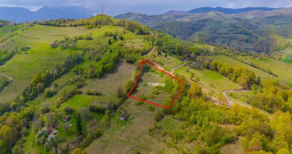 Teren 7,195mp Poiana Marului /Extravilan/Oportunitate inv...