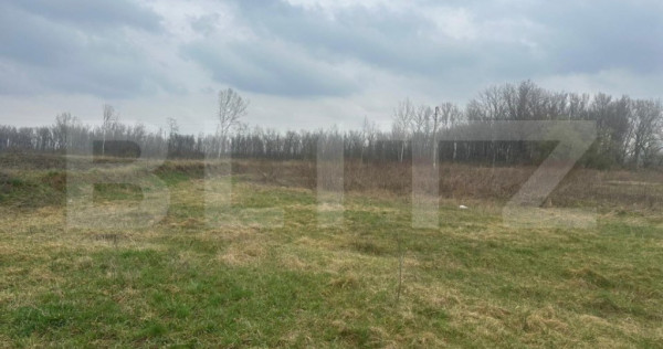 Teren intravilan de vanzare, 4.844 mp, zona Scheia