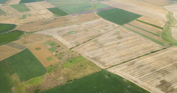 Afacere teren Intabulat PUZ parcelabil 10000 m