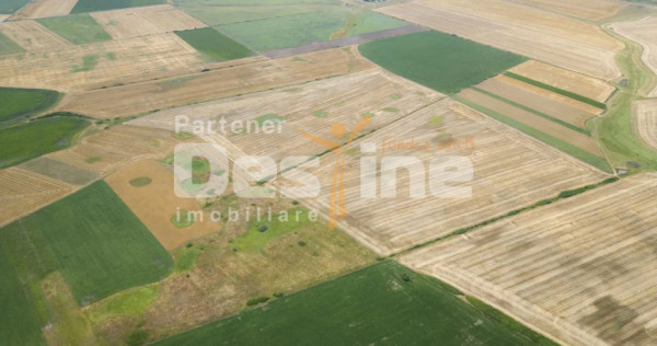 Afacere teren Intabulat PUZ parcelabil 10000 m