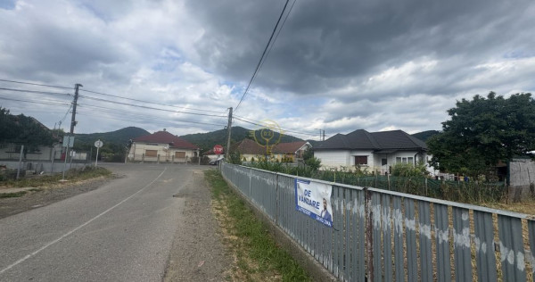 Teren de vanzare Seini/Zona Centrala