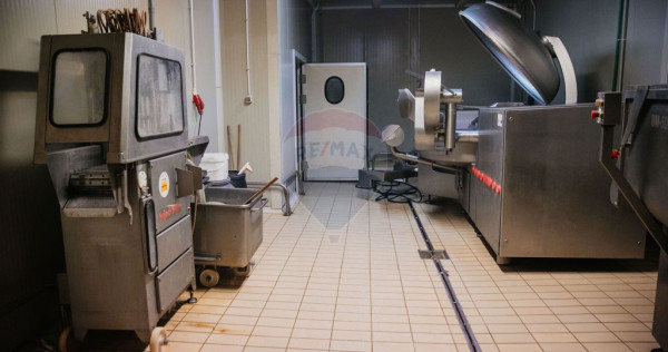 De vânzare AFACERE la cheie--CARMANGERIE--ABATOR--PREPAR...