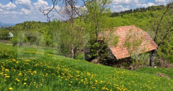 Teren intravilan 3400 mp, in Balaban - Simon, Bran - Brasov