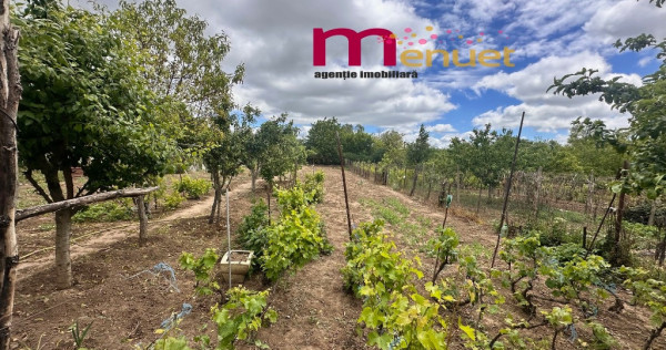 Casa+Teren 1500 mp,zona Taberei