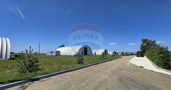 DE VANZARE | Hale | 1407mp | Teren 9344 | Potigrafu