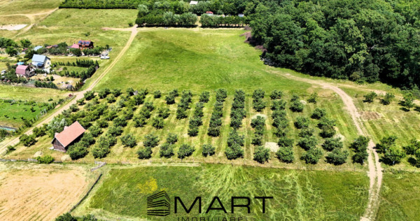 Teren extravilan 5000mp zona Cisnadie