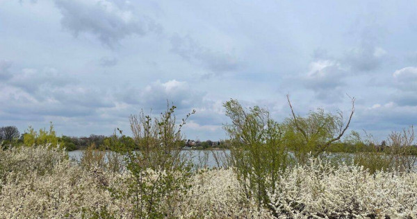 Teren Excepțional cu Deschidere la Lac – Samurcași, B...