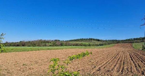 Cota de 1/2 din teren extravilan, comuna Rogova, Jud Mehe...