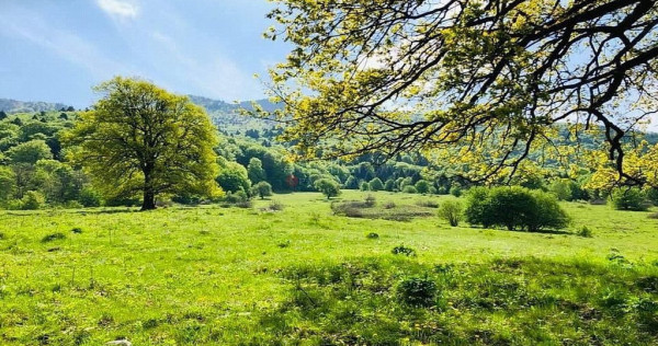 TEREN POTENTIAL TURISTIC - Rasnov - Cheisoara