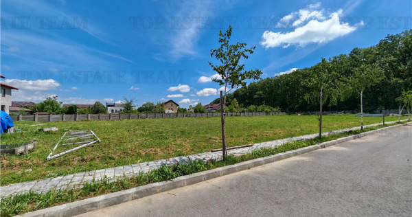 Teren constructii in proximitatea Padurii Corbeanca