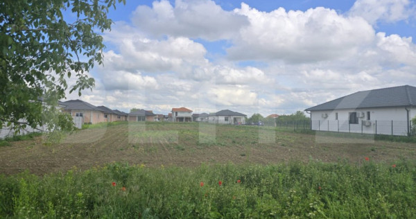 Teren intravilan, 3500 mp. Paulesti