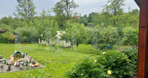 Casă de lemn cu teren generos &ndash; 1500 mp &icirc;n Cerghid, lini