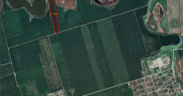 Teren cu Potential de Investitie - 75.500 mp, Budesti, Calar